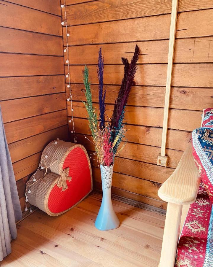 Aparthotel Oce Ardesen